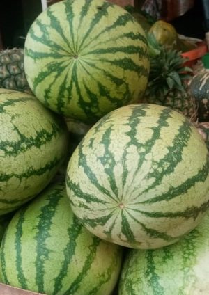 Organic Watermelon