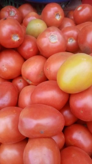 Organic Tomatoes per kg