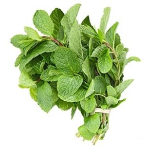 Fresh Mint Leaves (7 oz.)