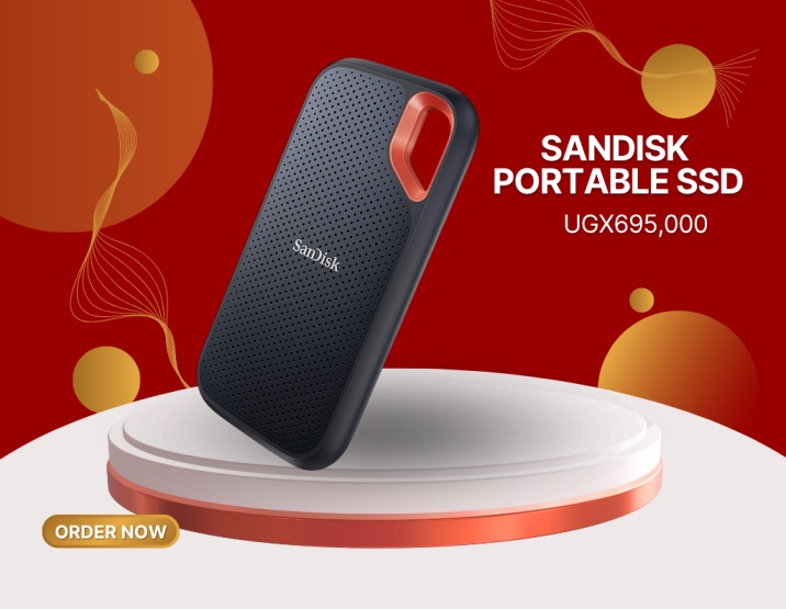 Sandisk portable ssd